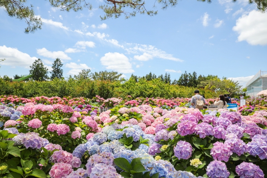 휴애리자연생활공원