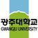 Gwangju University