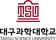 Taegu Science University