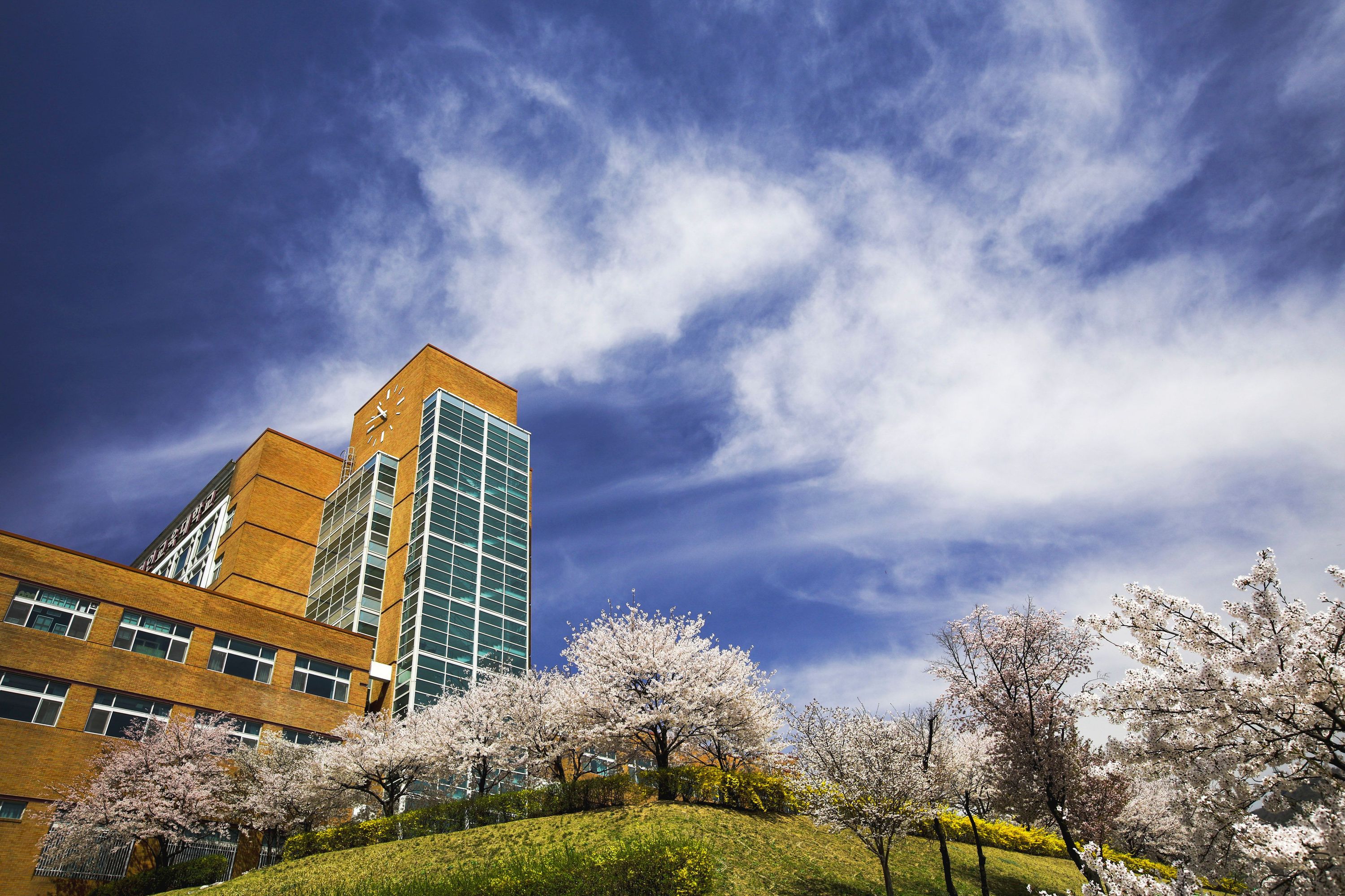 បរិវេណ Gyeongin National University of Education